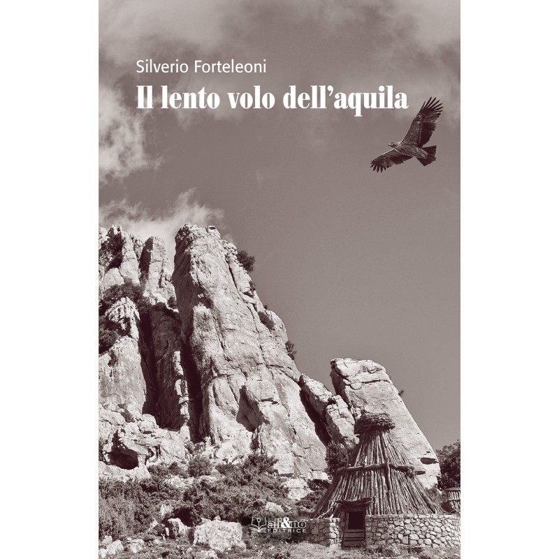 Il lento volo dell'acquila