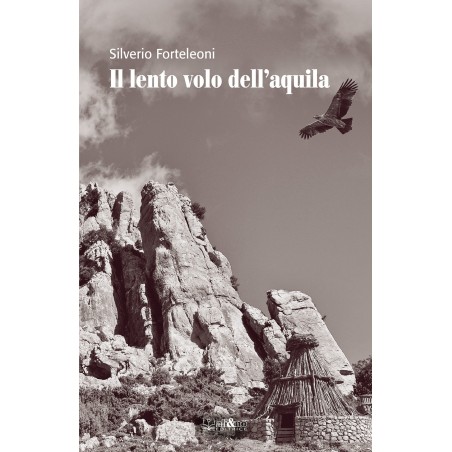 Il lento volo dell'acquila