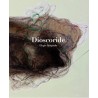Dioscoride