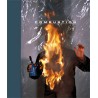 Combustion