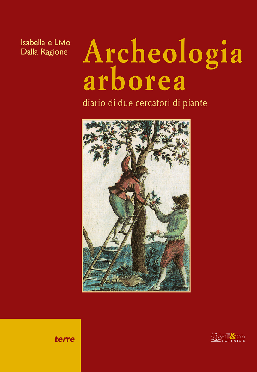 Coperta_Archeologia_4.jpg