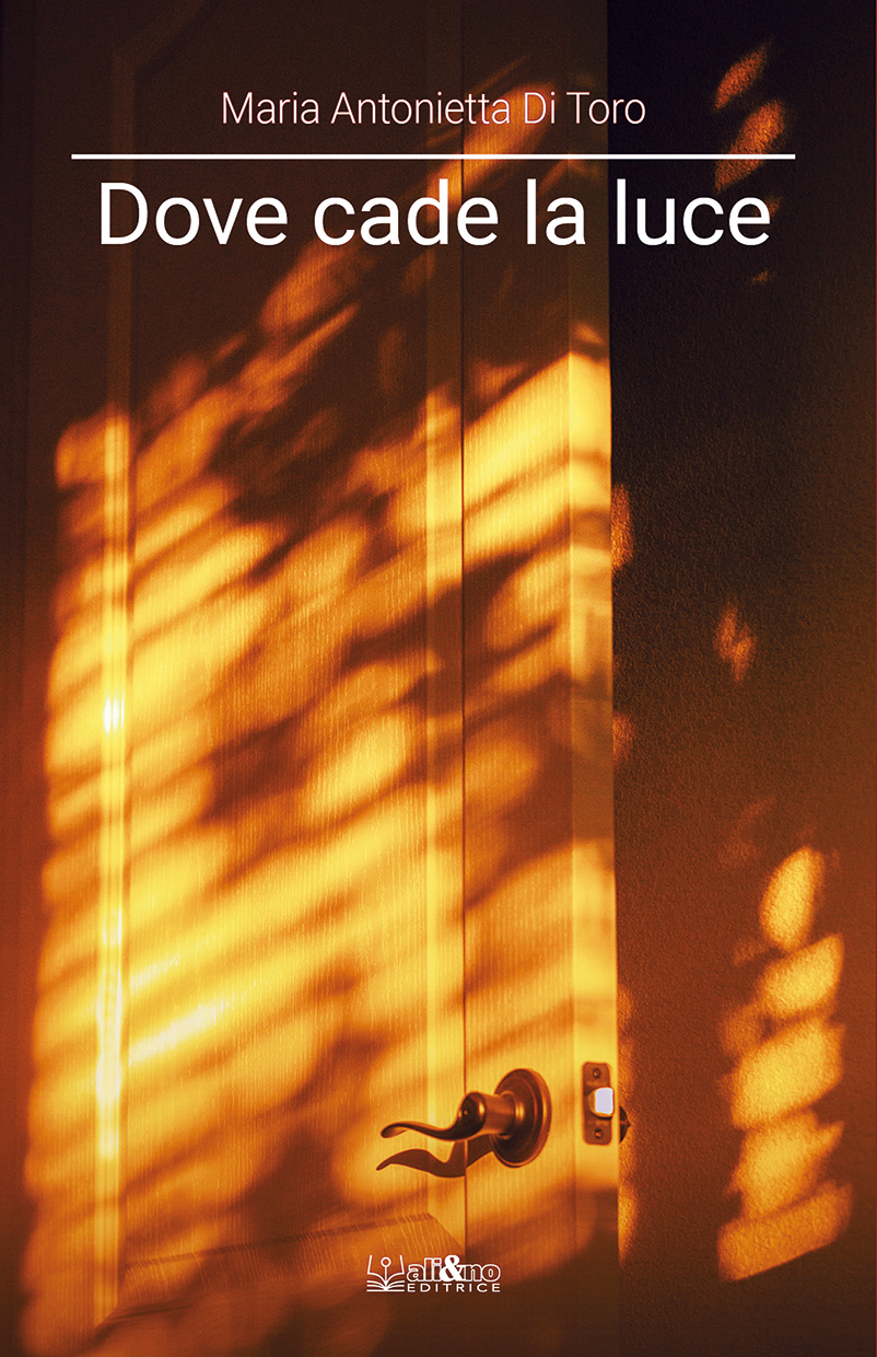 dove cade la luce.jpg